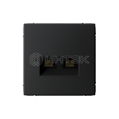 Розетка компьютерная 2-м ArtGallery RJ45 + RJ45 кат.5E механизм карбон Systeme Electric GAL001085