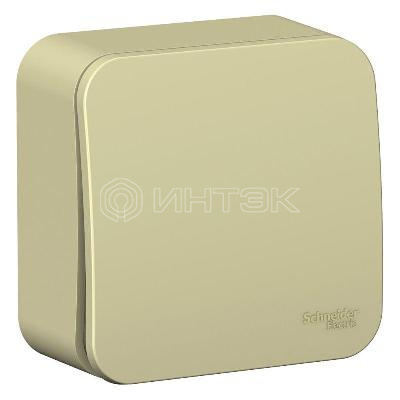 Переключатель проходной 1-кл. ОП Blanca 10А IP20 (сх. 6) 250В с изолир. пластиной беж.  Systeme Electric BLNVA106017 изображение, фото