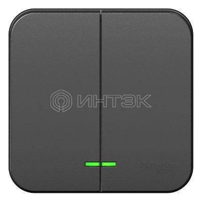 Выключатель 2-кл. ОП Blanca 10А IP20 (сх. 5) 250В с подсветкой с изолир. пластиной антрацит  Systeme Electric BLNVA105116 изображение, фото