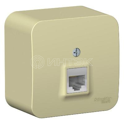 Розетка компьютерная 1-м ОП Blanca RJ45 кат.5E с изолир. пластиной беж. Systeme Electric BLNIA045007 изображение, фото