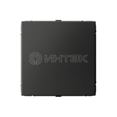 Заглушка ArtGallery с суппортом для многопост. рамок базальт Systeme Electric GAL001409 изображение, фото