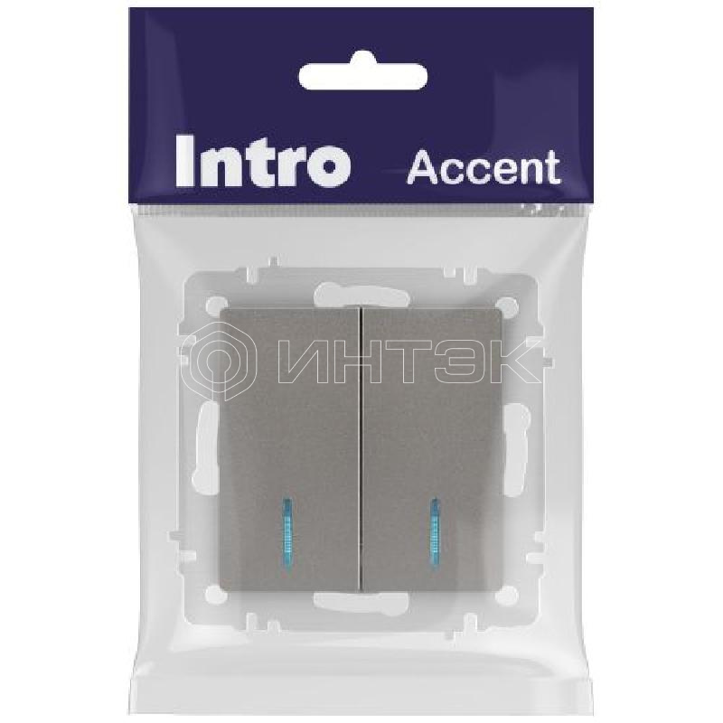 Выключатель 2-кл. СП Accent 6-105-09 10А IP20 250В с подсветкой AL/CU титан Intro Б0063525 изображение, фото