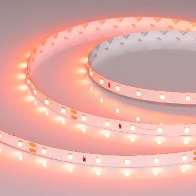 Лента светодиодная RT-A60-8mm 24В Carrot 4.8Вт/м IP20 (уп.5м) Arlight 055375 изображение, фото
