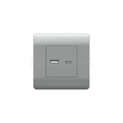 Розетка USB NEW3-E тип A+C 5В/2.1А серебр. CHINT 431451 изображение, фото