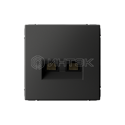 Розетка компьютерная 2-м ArtGallery RJ45 + RJ45 кат.5E механизм базальт Systeme Electric GAL001485 изображение, фото