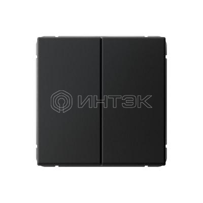 Выключатель кнопочный 2-кл. ArtGallery 10AX быстрозажим. клем. механизм карбон Systeme Electric GAL001017S изображение, фото
