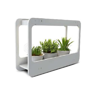 Подставка-светильник PMG 002 LED 14Вт 4000К для растений JazzWay 5009554 изображение, фото