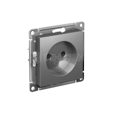 Розетка 1-м СП AtlasDesign 16А IP20 без заземл. защ. шторки механизм сталь Systeme Electric ATN000949 изображение, фото