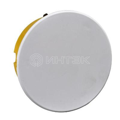 Коробка распределительная 80(77)х45мм для полых стен DIY Systeme Electric IMT351601 изображение, фото