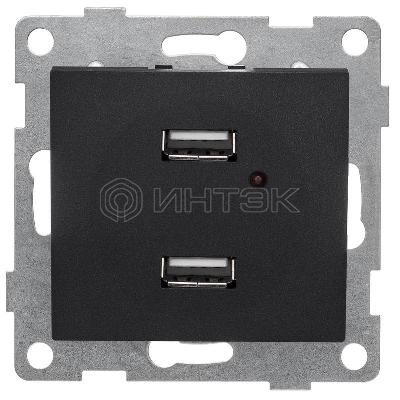 Розетка USB 2-м СП Bravo механизм графит GUSI С10USB2-010 изображение, фото