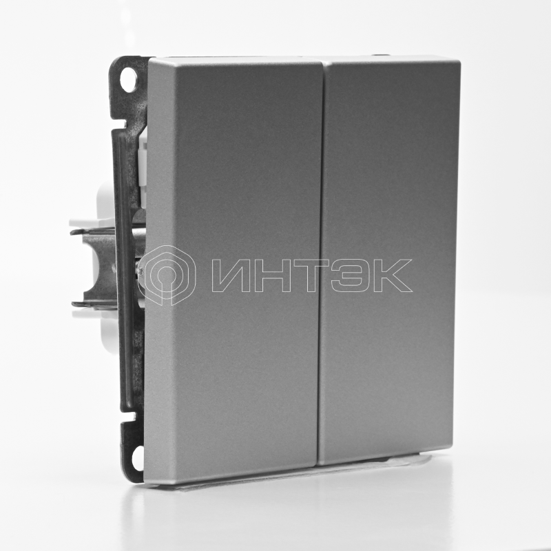 Выключатель кнопочный 2-кл. ArtGallery 10AX быстрозажим. клем. механизм алюм. Systeme Electric GAL000317S изображение, фото