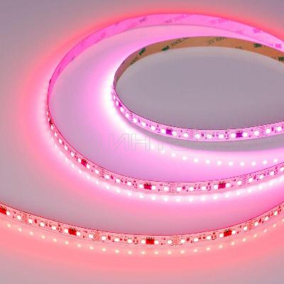 Лента светодиодная SPI-A120-10mm 24V RGB-PX6-BPT 23Вт/м IP20 2835 бегущий огонь (уп.5м) Arlight 046871 изображение, фото