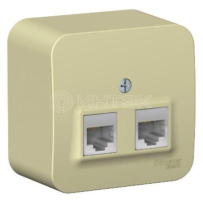 Розетка компьютерная 2-м ОП Blanca RJ45 кат.5E с изолир. пластиной беж. Systeme Electric BLNIA045457 изображение, фото