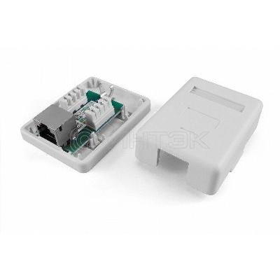 Розетка компьютерная 1-м ОП SB1-1-8P8C-C5e-SH-WH RJ45 (8P8C) кат.5E экранир. Dual IDC Hyperline 430229 изображение, фото