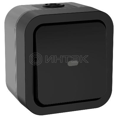 Переключатель 1-кл. ОП TORS 10А IP55 TS102 с индикацией графит IEK TS-V10-1-10-55-K53 изображение, фото