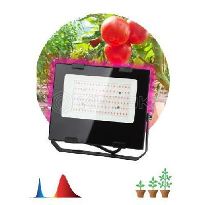 Прожектор светодиодный для растений FITO-50W-RB-LED 50Вт IP65 для цветения и плодоношения красно-синего спектра ЭРА Б0046368 изображение, фото