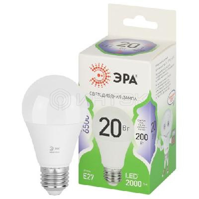 Лампа светодиодная GREEN LINE A60-20W-865-E27 GL 20Вт груша 6500К свет холод. E27 Эра Б0067102 изображение, фото