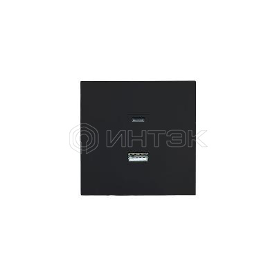 Розетка СП ZIMA IP20 Type-C + USB механизм черн. бархат LEZARD 704-4288-192TC изображение, фото