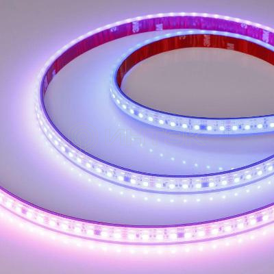 Лента светодиодная SPI-PS-A120-12mm 24V RGB-PX6-BPT 23Вт/м IP67 2835 герметичная бегущий огонь (уп.5м) Arlight 049452 изображение, фото