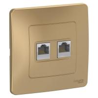 Розетка компьютерная 2-м СП Blanca RJ45 кат.5E титан Systeme Electric BLNIS045454 изображение, фото