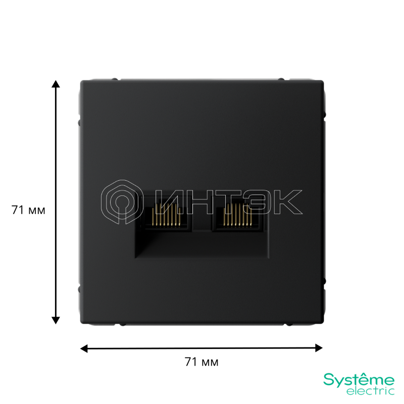 Розетка компьютерная 2-м ArtGallery 2хRJ45 кат.6A механизм карбон Systeme Electric GAL001088 изображение, фото