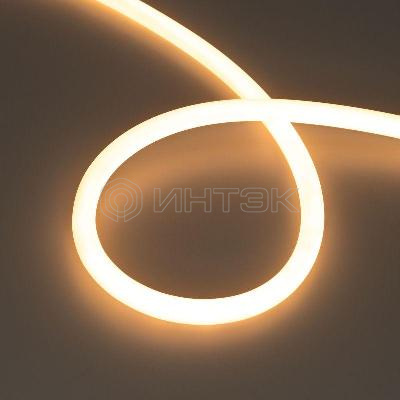 Лента светодиодная MOONLIGHT-TOP-S-M560-D13mm 24V Warm2300 13Вт/м IP65 wire x1 трос прямой вывод герметичная (уп.5м) Arlight 043814 изображение, фото