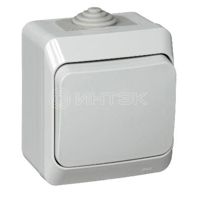 Выключатель 1-кл. ОП Этюд 10А IP44 10AX сер.  Systeme Electric BA10-041C изображение, фото
