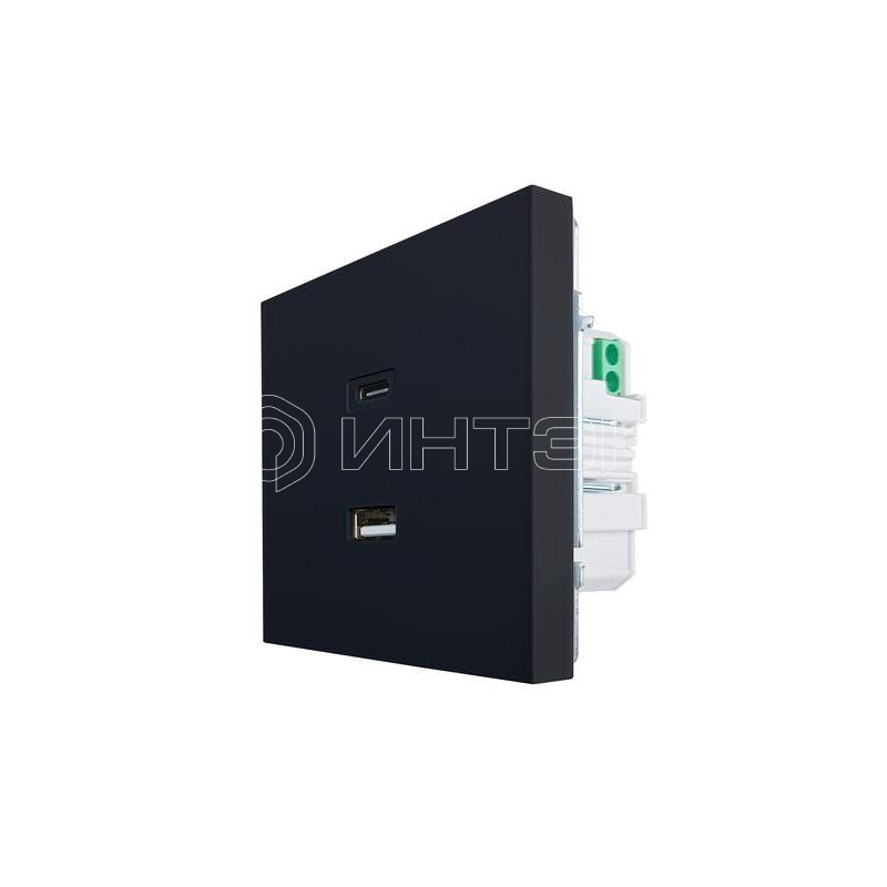 Розетка СП ZIMA IP20 Type-C + USB механизм черн. бархат LEZARD 704-4288-192TC изображение, фото
