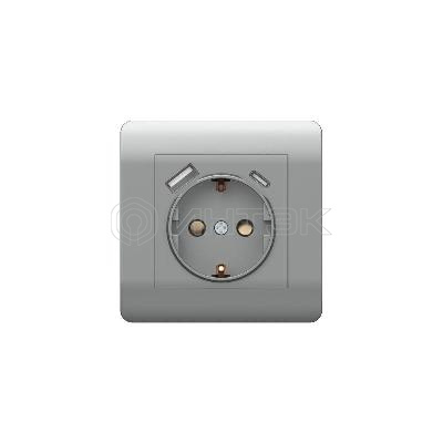 Розетка NEW3-E 16А с заземл. защ. шторки с 2-мя заряд. устройствами USB A+C 5В/2.1А серебр. CHINT 431454 изображение, фото