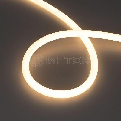 Лента светодиодная MOONLIGHT-TOP-S-M560-D13mm 24V Warm 3000К 13Вт/м IP65 wire x1 трос прямой вывод герметичная (уп.5м) Arlight 043816 изображение, фото
