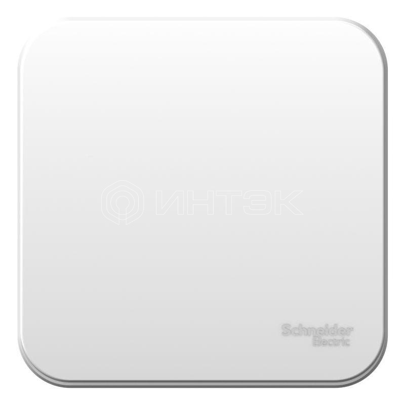 Выключатель 1-кл. ОП Blanca 6А IP20 (сх. 1) 250В с металлич. пластиной бел. Systeme Electric BLNVA061021 изображение, фото