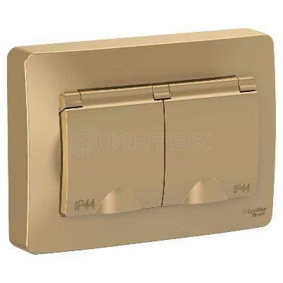 Розетка 2-м СП Blanca 16А IP44 250В с заземл. защ. шторки с крышкой титан Systeme Electric BLNRS441124 изображение, фото