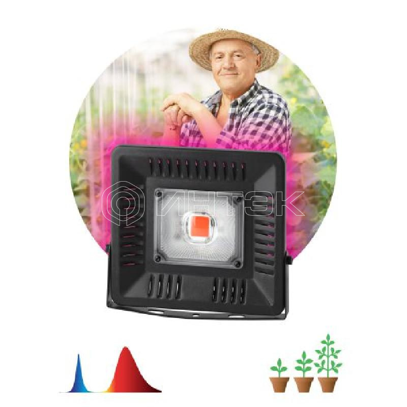 Прожектор светодиодный для растений FITO-50W-LED BLUERED 50Вт IP65 220-240В -30град. до + 45град. 30000ч для цветения и плодоношения красно-синего спектра ЭРА Б0039033 изображение, фото