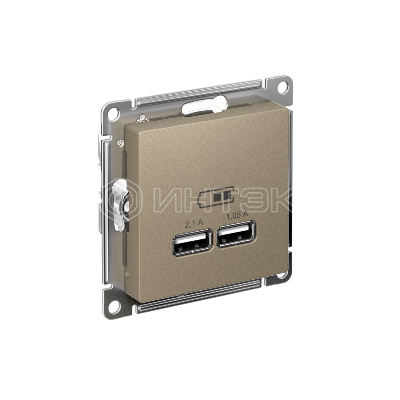 Розетка USB AtlasDesign тип A+A 5В 1х2.1А 2х1.05А механизм шампань Systeme Electric ATN000533 изображение, фото