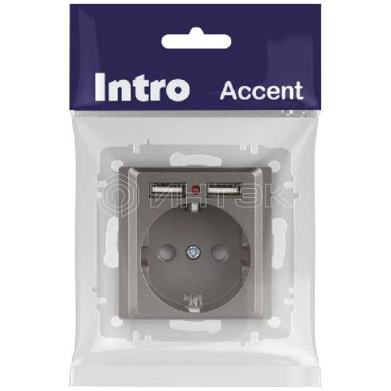 Розетка 1-м СП Accent 6-410-09 16А IP20 250В P+E Schuko + 2хUSB защ. шторки титан Intro Б0063711 изображение, фото