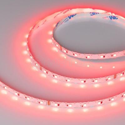 Лента светодиодная RZ-A60-8mm 24V RGB 8Вт/м IP20 2835 (уп.5м) Arlight 042909 изображение, фото