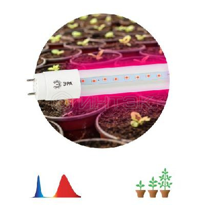 Лампа светодиодная FITO-9W-RB-Т8-G13-NL 9Вт T8 линейная 48LED 2835 IP20 35000ч для растений красн./син. спектр стекло Эра Б0042986 изображение, фото
