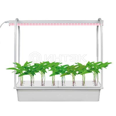 Светильник светодиодный для растений ULT-P44D-10W/SPLE AQUA SIMPLE WHITE IP20 с подставкой "Минисад AQUA SIMPLE" спектр для фотосинтеза Uniel UL-00004499 изображение, фото