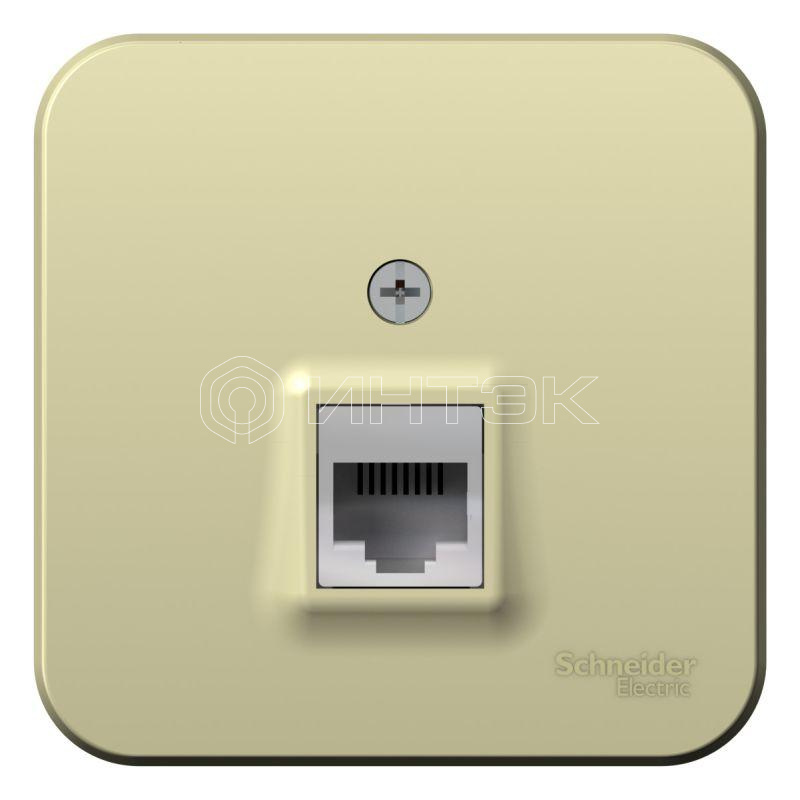 Розетка компьютерная 1-м ОП Blanca RJ45 кат.5E с изолир. пластиной беж. Systeme Electric BLNIA045007 изображение, фото