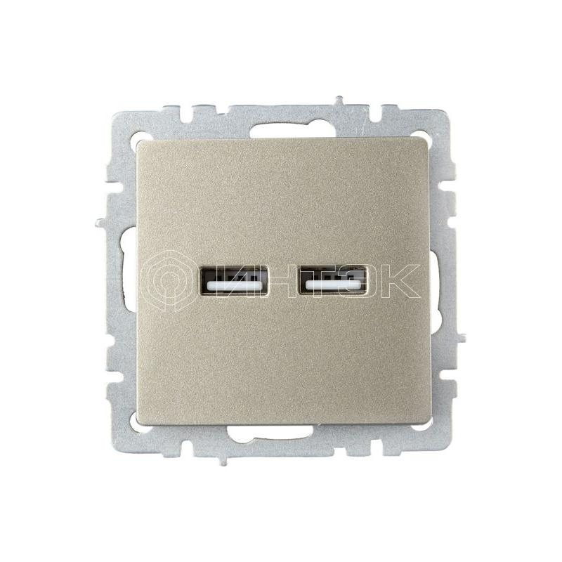 Розетка BRITE USB A+A 3.1А РЮ10-1-БрШ механизм шампань IEK BR-U21-D31-K37 изображение, фото