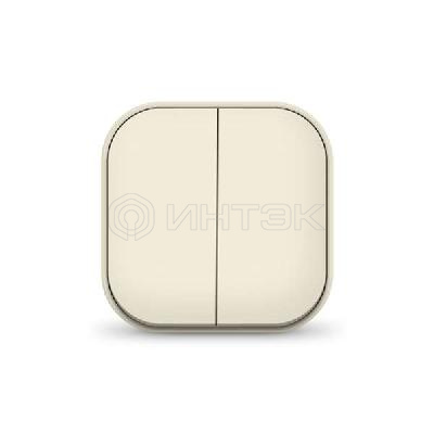 Выключатель 2-кл. 1п ОП 10А IP20 сл. кость IONICH 1425 изображение, фото