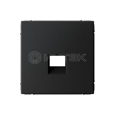 Накладка информационная ArtGallery типа Keystone карбон Systeme Electric GAL001084 изображение, фото