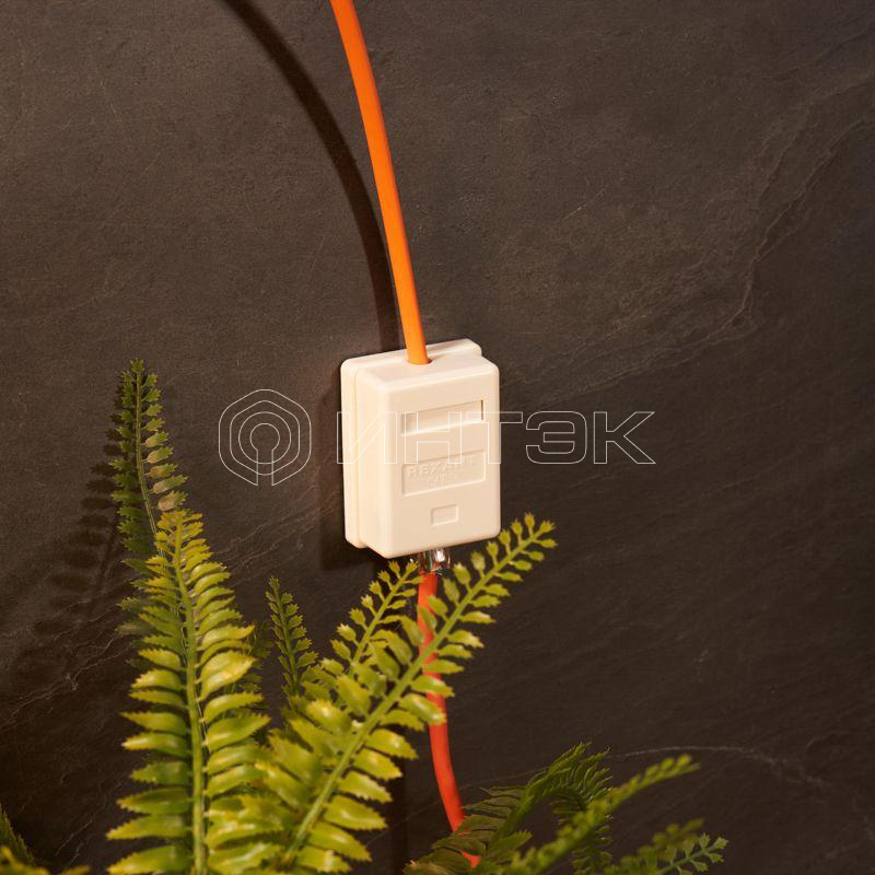 Розетка компьютерная 1-м ОП RJ45 кат.5E UTP неэкранир. бел. Rexant 03-0121 изображение, фото