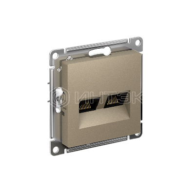 Розетка компьютерная 2-м AtlasDesign RJ45 кат.5E механизм шампань  Systeme Electric ATN000585 изображение, фото