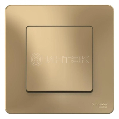 Выключатель 1-кл. СП Blanca 10А IP20 (сх. 1) 250В титан Systeme Electric BLNVS010104 изображение, фото