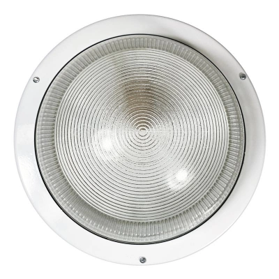 Светильник НПП 03-100-001 "Селена 1" 1х100Вт E27 IP65 корпус бел. Элетех 1005500139 изображение, фото