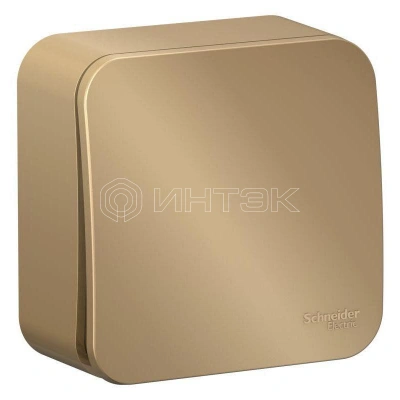 Выключатель 1-кл. ОП Blanca 10А IP20 (сх. 1) 250В с изолир. пластиной титан Systeme Electric BLNVA101014 изображение, фото