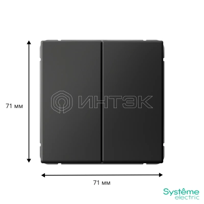 Выключатель кнопочный 2-кл. ArtGallery (сх. 2) 10А механизм базальт Systeme Electric GAL001417 изображение, фото