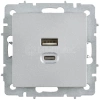 Розетка СП BRITE РЮ11-2-БрА USB A+C 45Вт высокоскор. заряд. алюм. IEK BR-U22-045-K47 изображение, фото