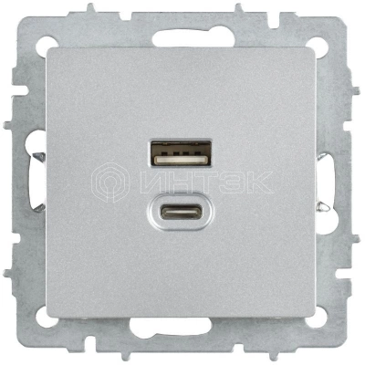 Розетка СП BRITE РЮ11-2-БрА USB A+C 45Вт высокоскор. заряд. алюм. IEK BR-U22-045-K47 изображение, фото